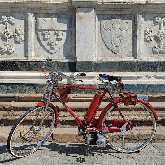 Farfallino Samp 48 Motorized Vintage Bicycle for Men